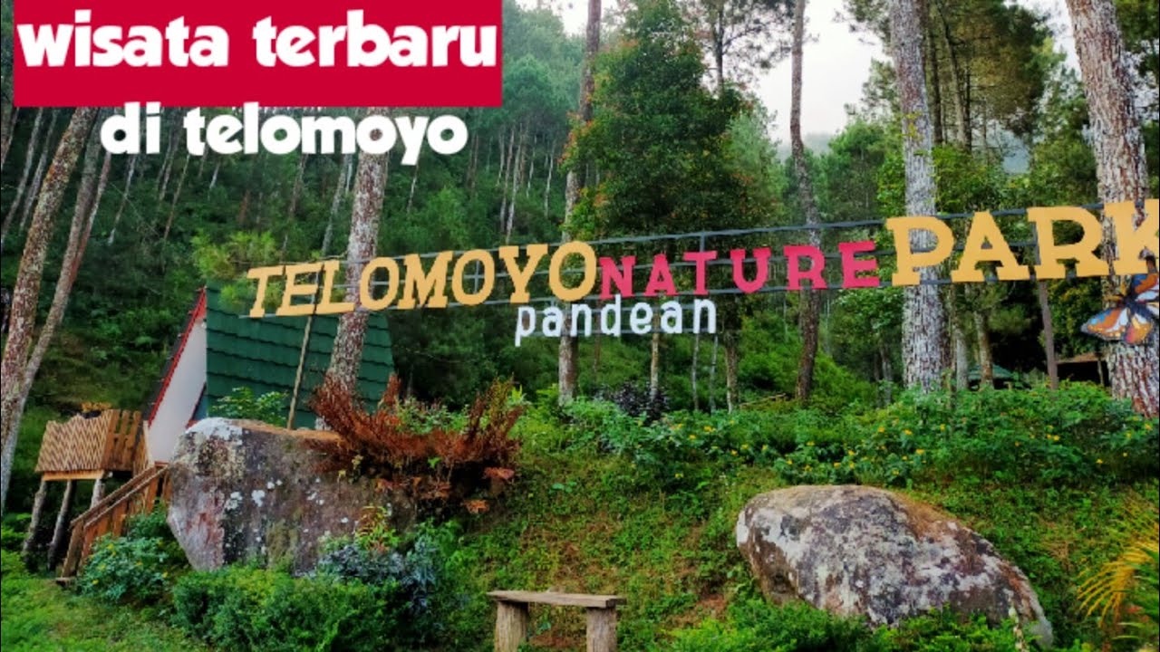 Telomoyo Nature Park: Surga Alam di Lereng Gunung Merbabu